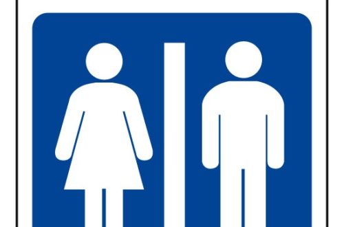 Article : Mais que font les filles pour rester aussi longtemps dans les toilettes ?